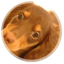 �y�b�g�`���l�����O