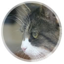 �y�b�g�`���l�����O